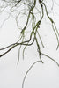 Artificial mossy twigs vine 41” - Greenery Market27549