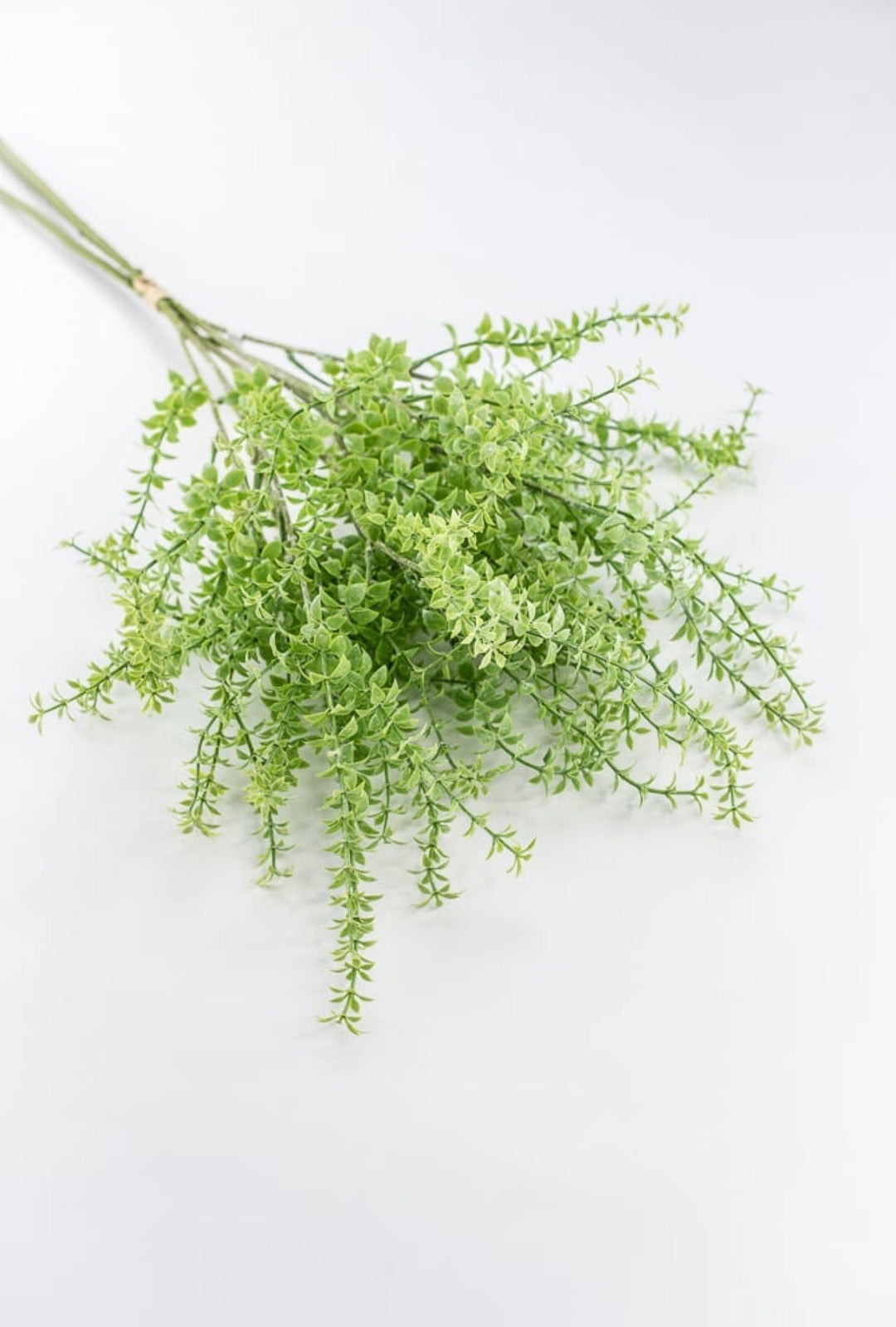 Artificial Mrytle Greenery Bundle - Greenery Marketgreenery2310483GR