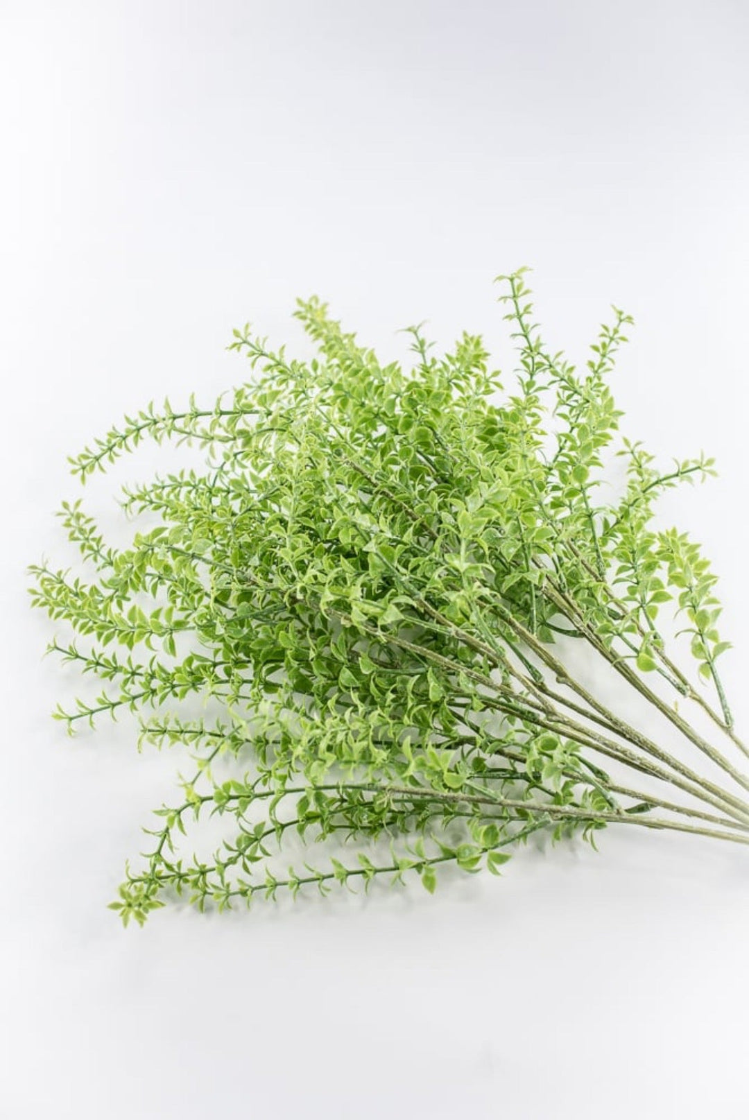 Artificial Mrytle Greenery Bundle - Greenery Marketgreenery2310483GR