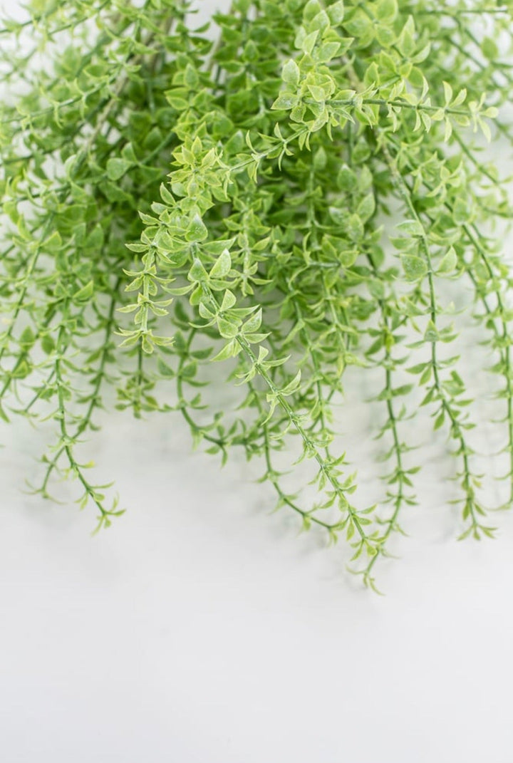 Artificial Mrytle Greenery Bundle - Greenery Marketgreenery2310483GR