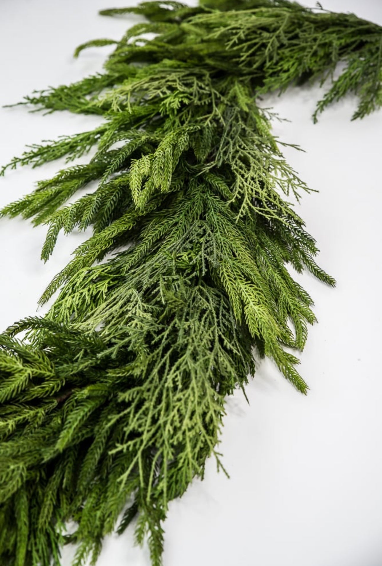 Artificial Norfolk and cedar mixed garland 5' - Greenery Market