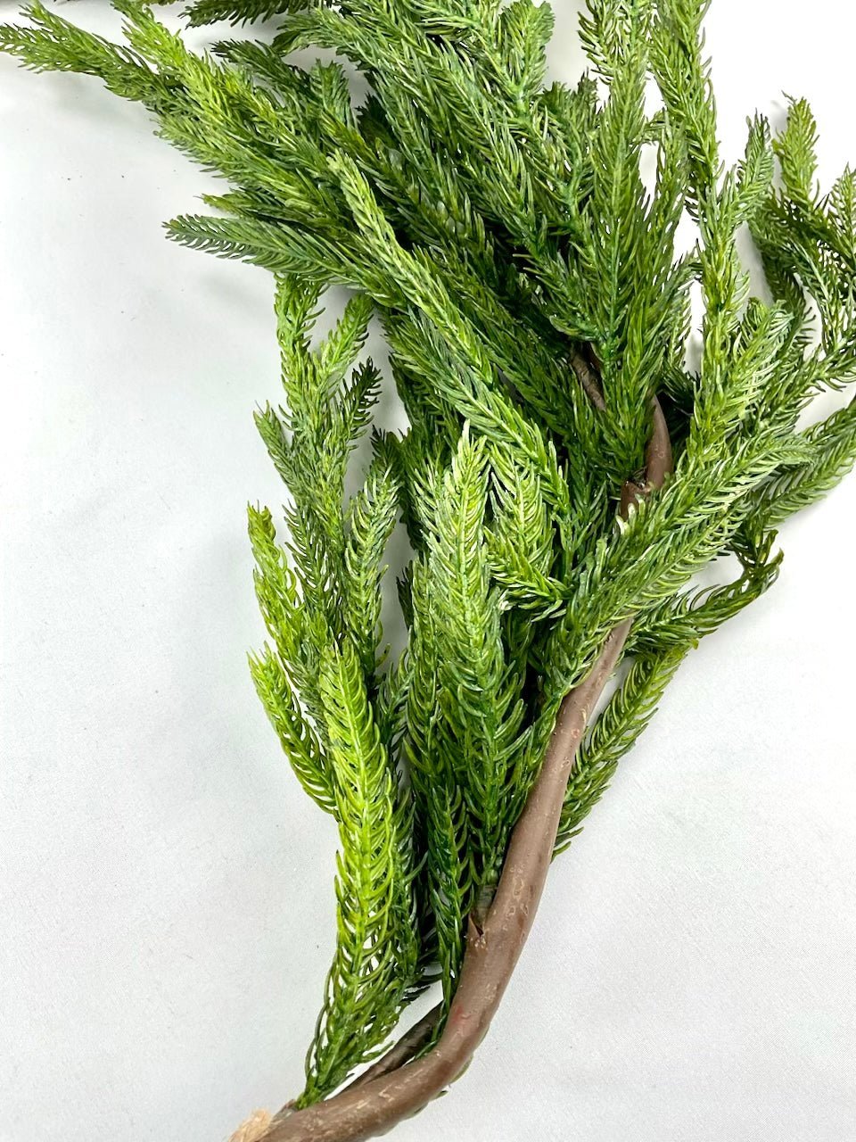 Artificial Norfolk pine fir pine garland - 6’ - Greenery Marketgreenery2833308GR