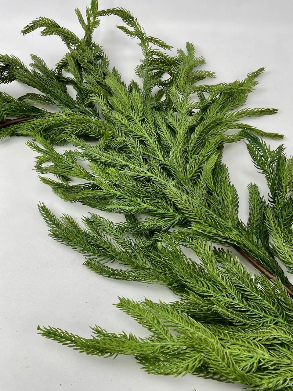 Artificial, Norfolk pine garland - 6’ - Greenery Marketgreenery204755