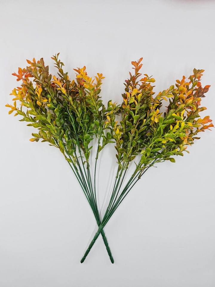 Artificial orange tipped boxwood greenery x 2 bushes - Greenery Marketgreenery43235