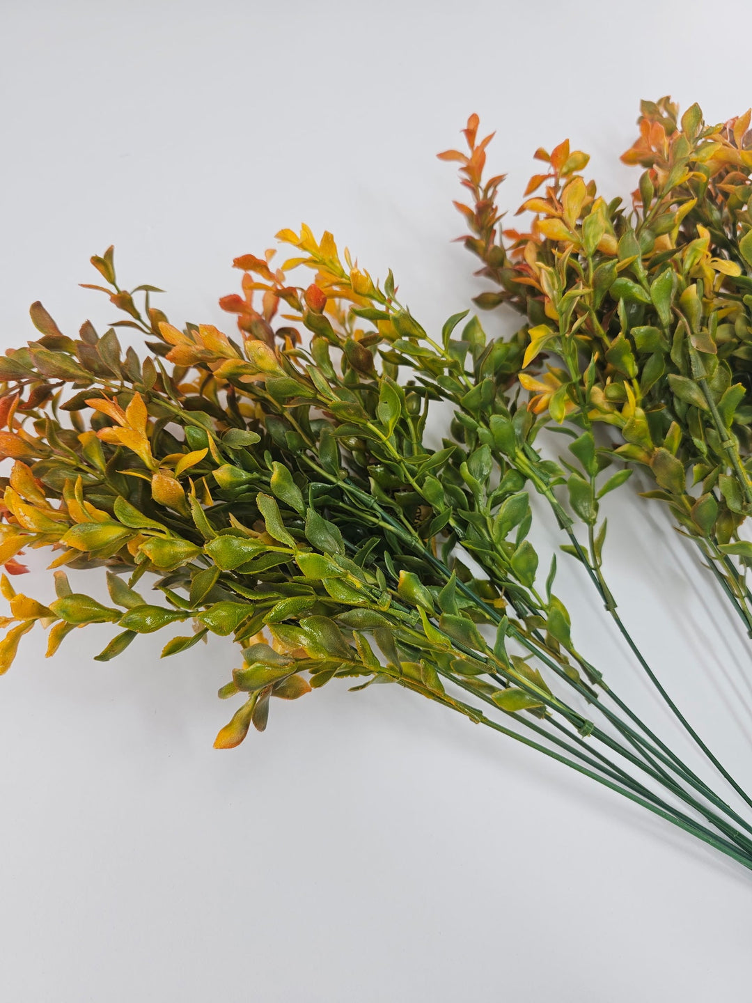 Artificial orange tipped boxwood greenery x 2 bushes - Greenery Marketgreenery43235