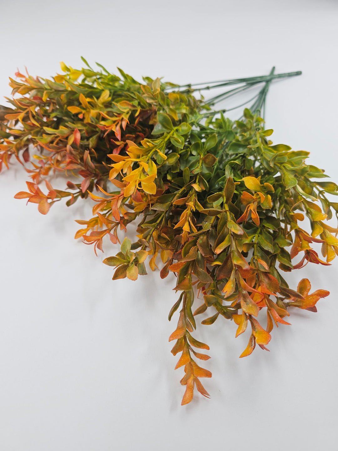 Artificial orange tipped boxwood greenery x 2 bushes - Greenery Marketgreenery43235