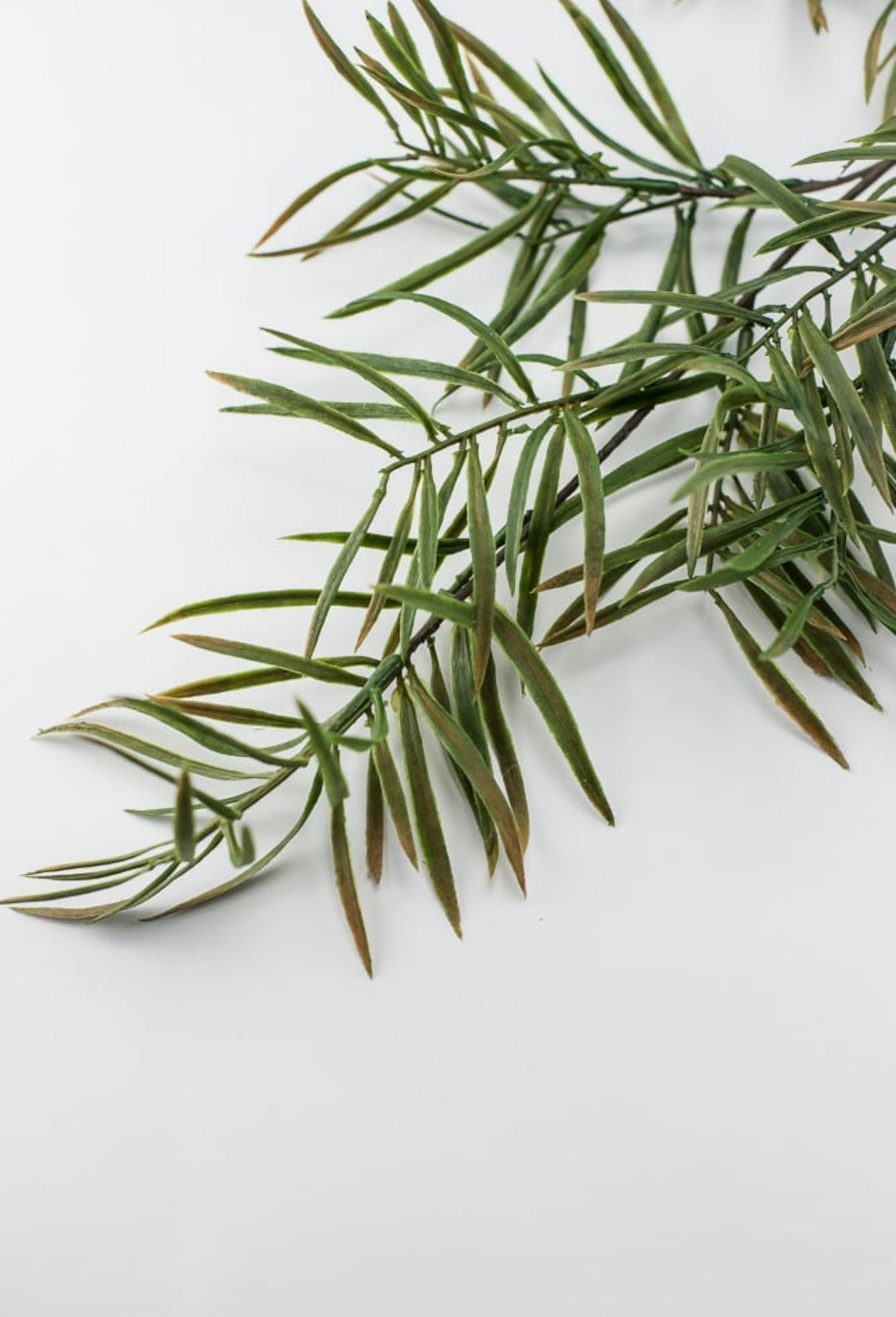 Artificial pacific yew evergreen spray - Greenery Market27485