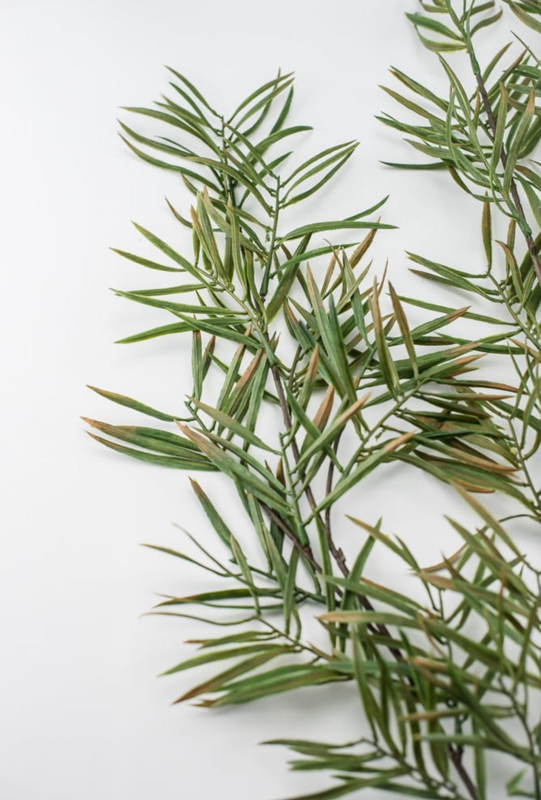 Artificial pacific yew evergreen spray - Greenery Market27485