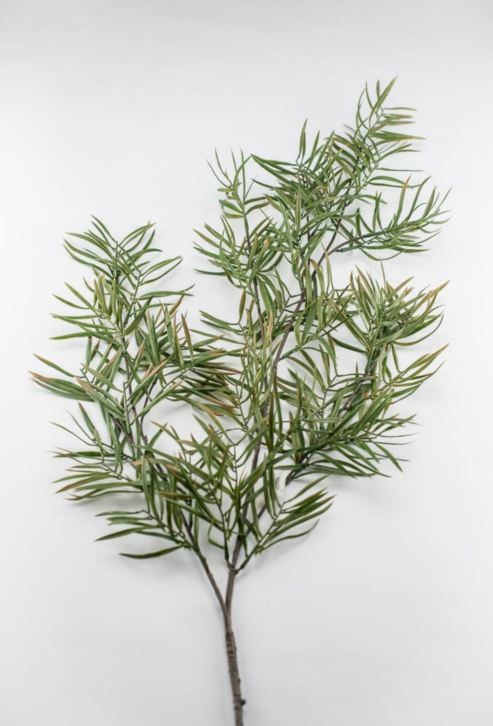 Artificial pacific yew evergreen spray - Greenery Market27485