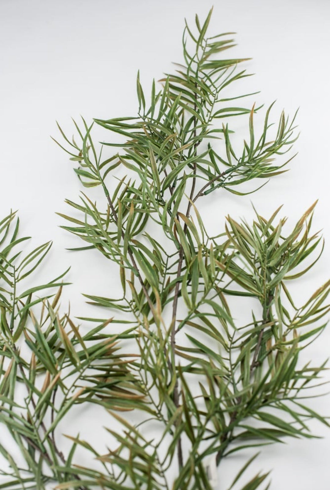 Artificial pacific yew evergreen spray - Greenery Market27485