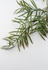 Artificial pacific yew spray - Greenery Market27485