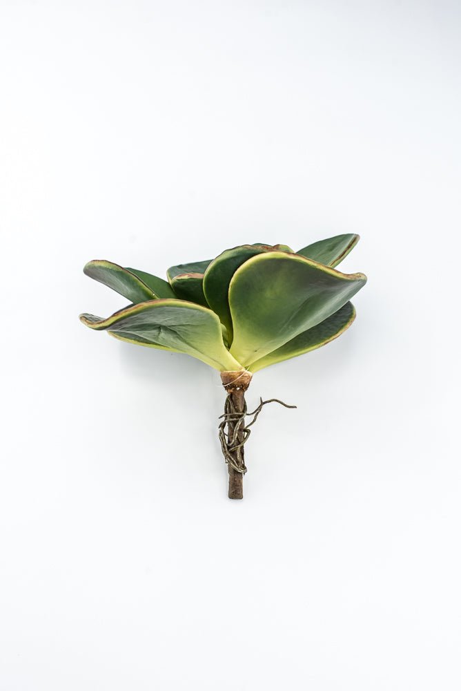 Artificial, Paddle Leaf Succulent Rosette Pick - Greenery MarketGreeneryFL1501 G