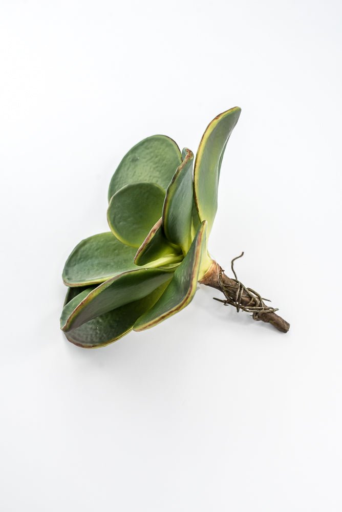 Artificial, Paddle Leaf Succulent Rosette Pick - Greenery MarketGreeneryFL1501 G