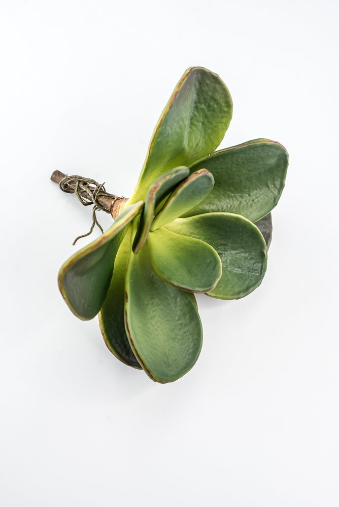 Artificial, Paddle Leaf Succulent Rosette Pick - Greenery MarketGreeneryFL1501 G