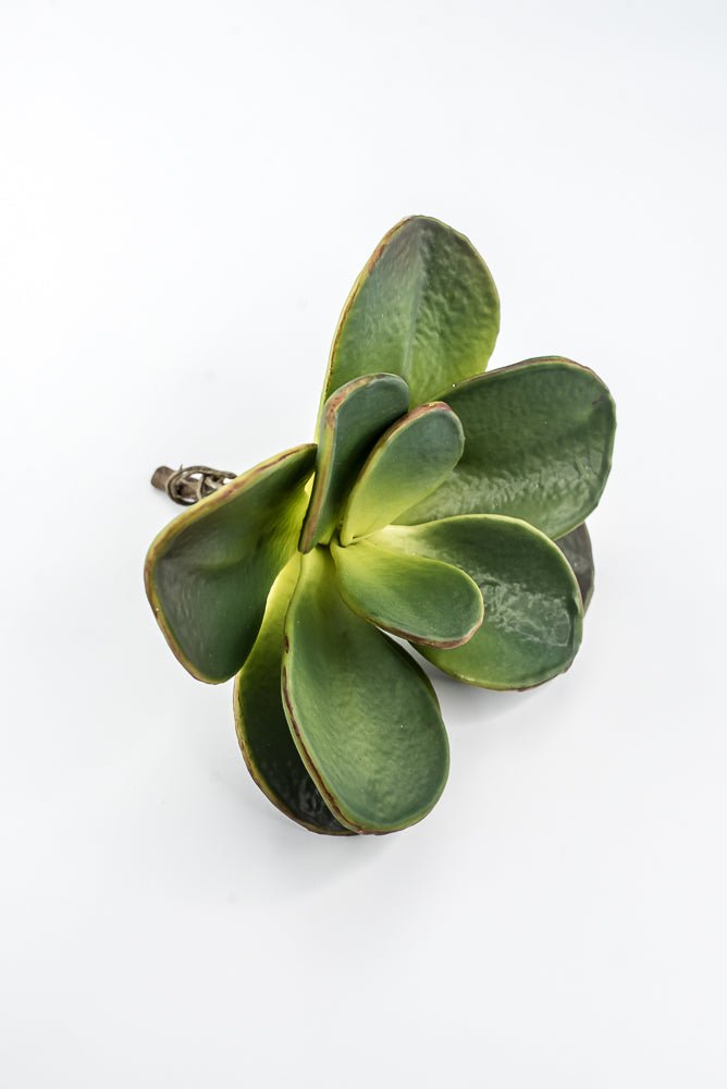 Artificial, Paddle Leaf Succulent Rosette Pick - Greenery MarketGreeneryFL1501 G