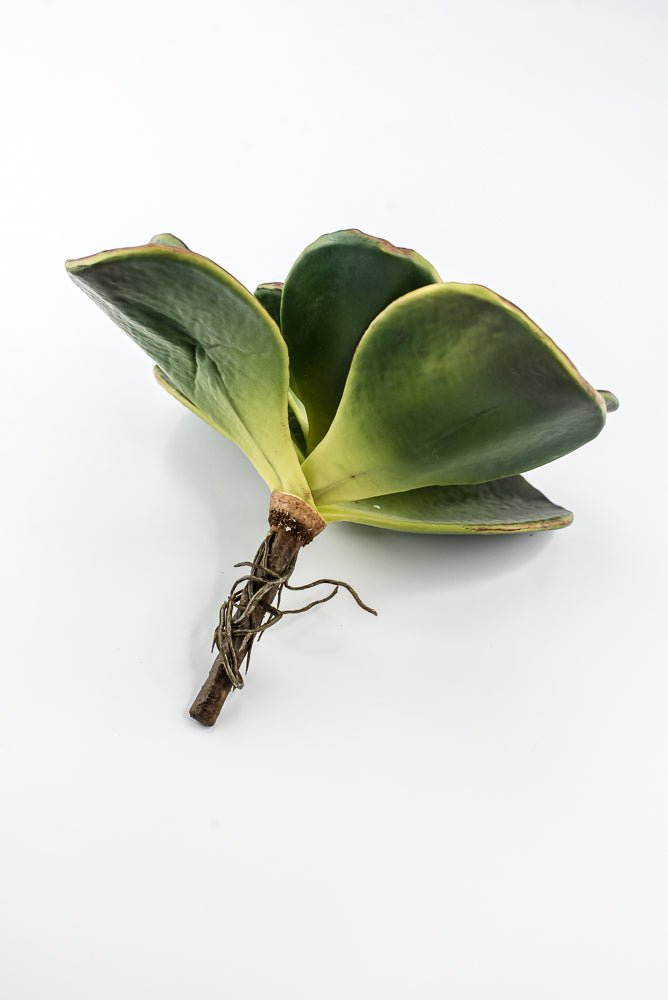 Artificial, Paddle Leaf Succulent Rosette Pick - Greenery MarketGreeneryFL1501 G