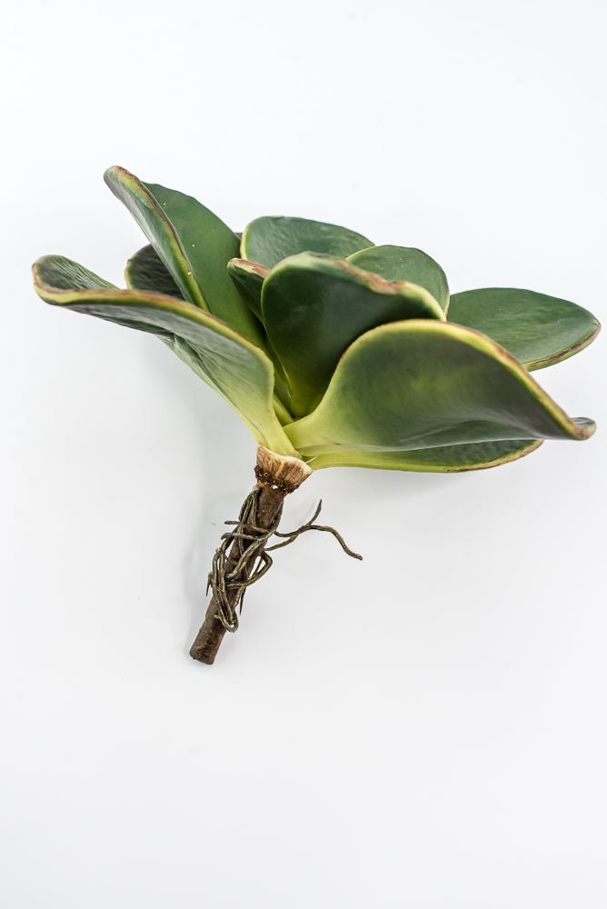 Artificial, Paddle Leaf Succulent Rosette Pick - Greenery MarketGreeneryFL1501 G
