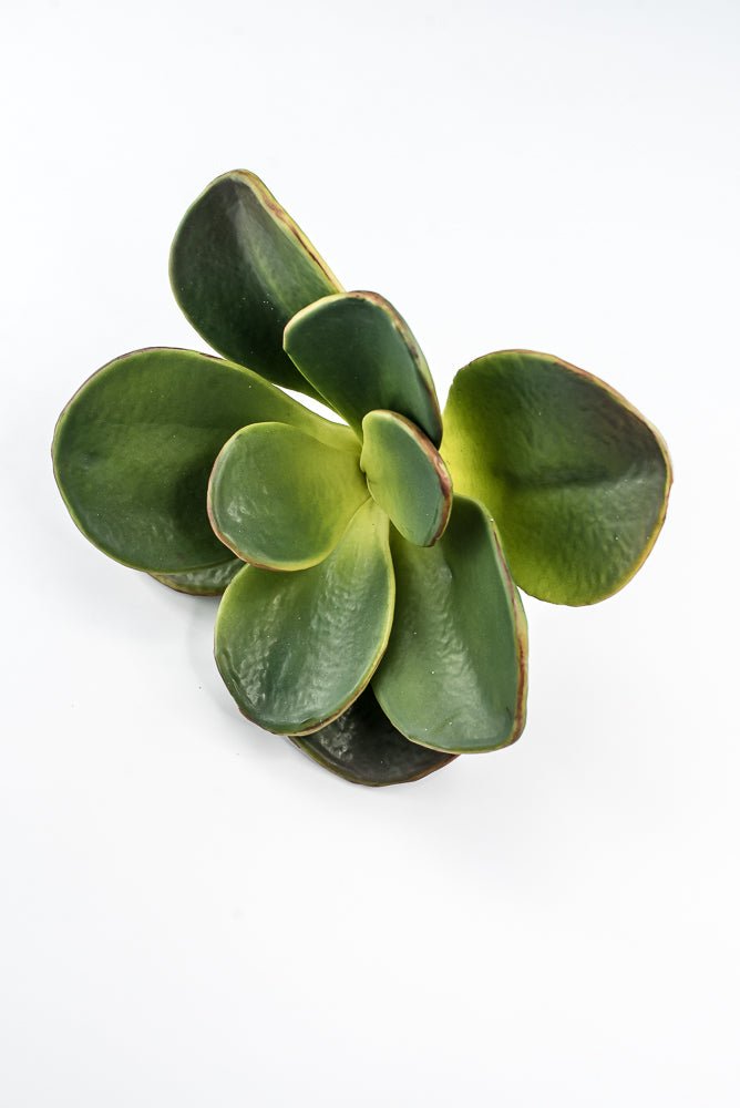 Artificial, Paddle Leaf Succulent Rosette Pick - Greenery MarketGreeneryFL1501 G