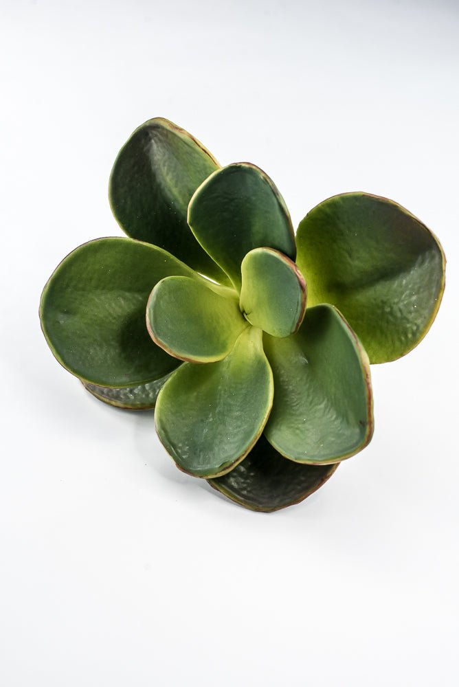 Artificial, Paddle Leaf Succulent Rosette Pick - Greenery MarketGreeneryFL1501 G
