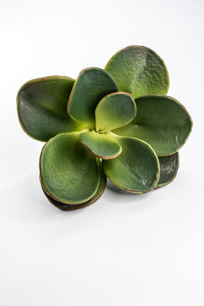 Artificial, Paddle Leaf Succulent Rosette Pick - Greenery MarketGreeneryFL1501 G