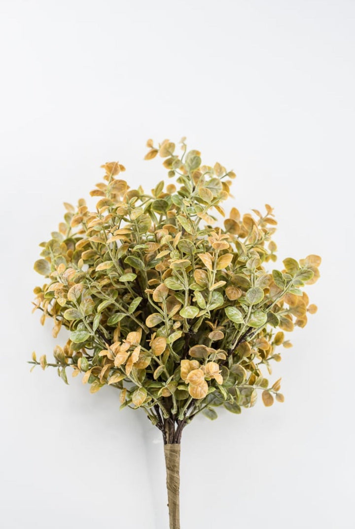 Artificial Peppergrass Bush - beige green - Greenery MarketArtificial Flora65368