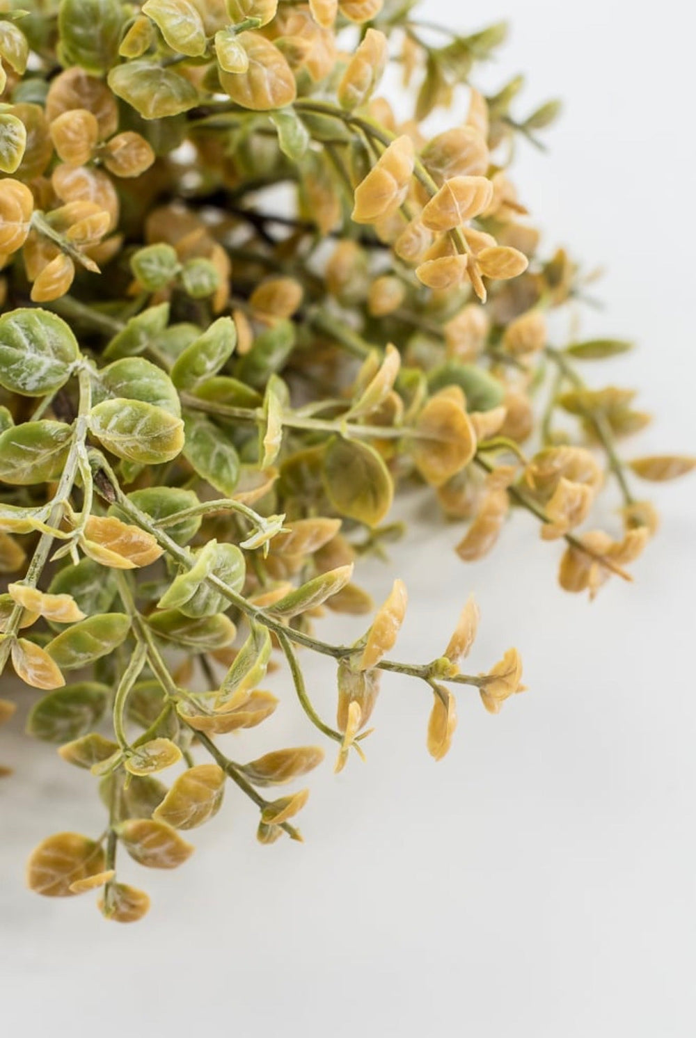 Artificial Peppergrass Bush - beige green - Greenery MarketArtificial Flora65368