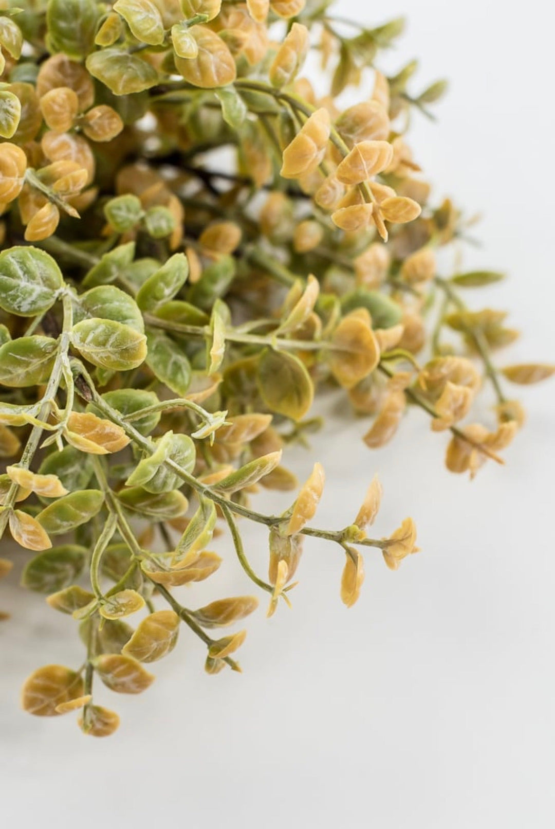 Artificial Peppergrass Bush - beige green - Greenery MarketArtificial Flora65368