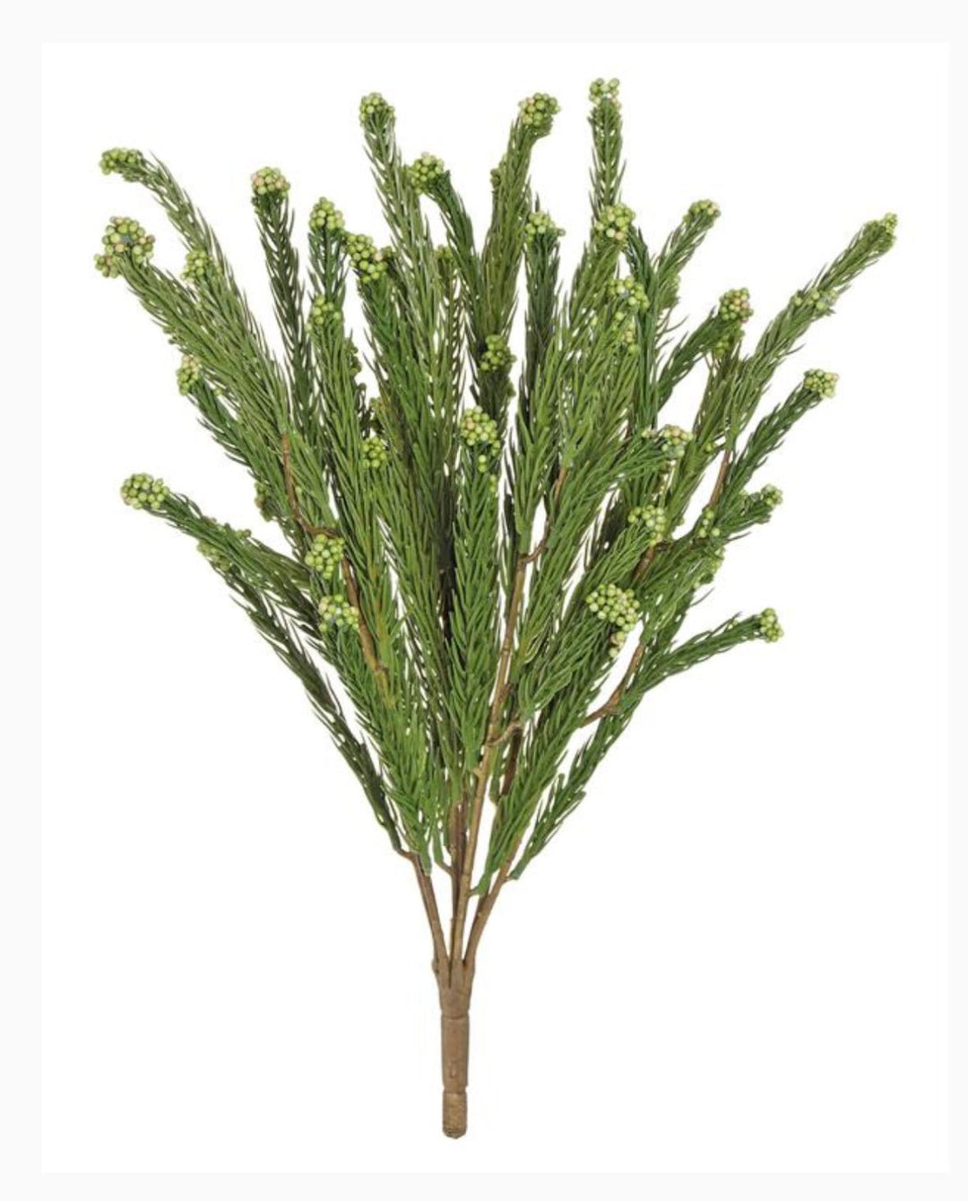 Artificial pine bush - Greenery MarketgreeneryX1884 - G