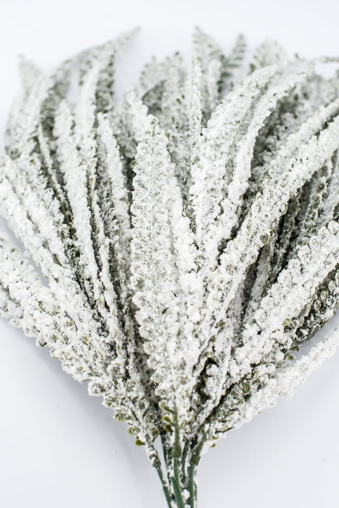 Artificial Plastic Button Fern With Snow - 19" - Greenery MarketArtificial Flora85806
