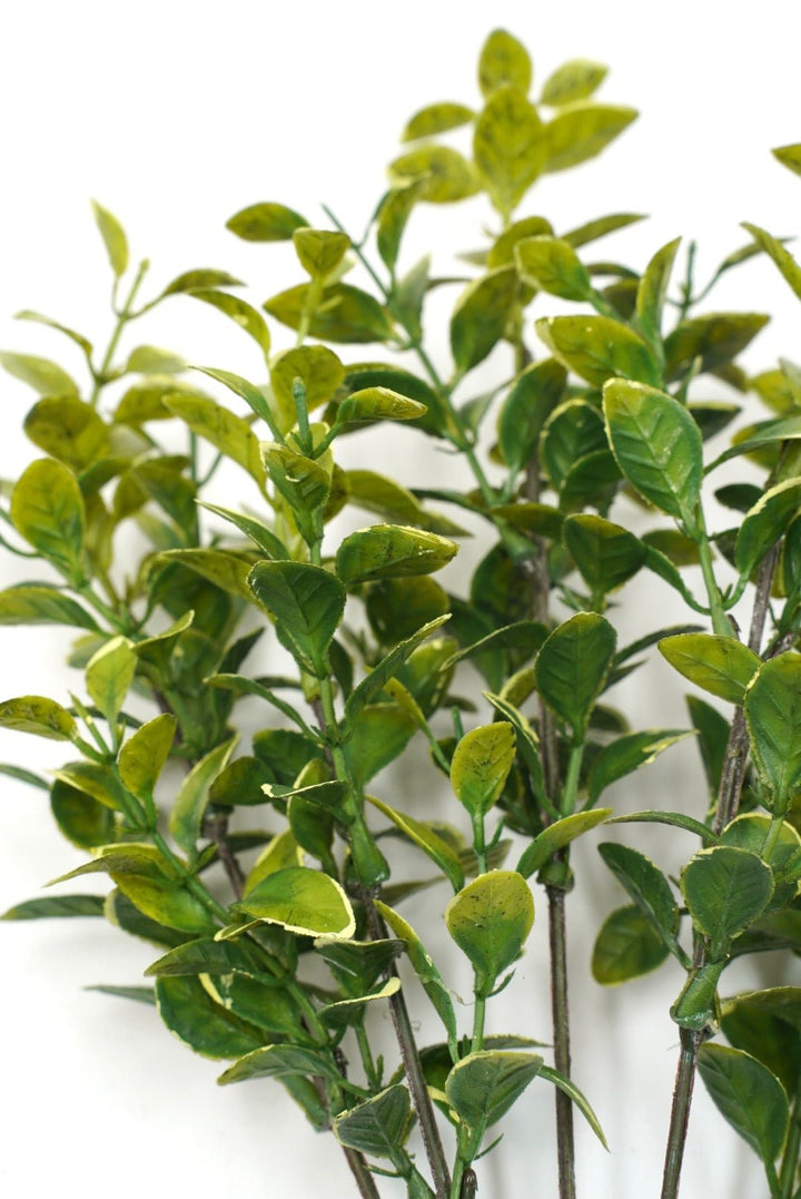 Artificial Privet Bush - 14” - Greenery Market28870