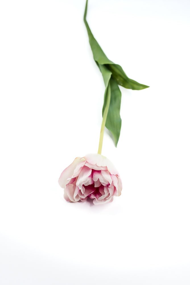 Artificial, real touch, tulip stem - Greenery MarketArtificial Flowers6477-P