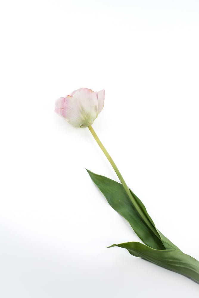 Artificial, real touch, tulip stem - Greenery MarketArtificial Flowers6477-P