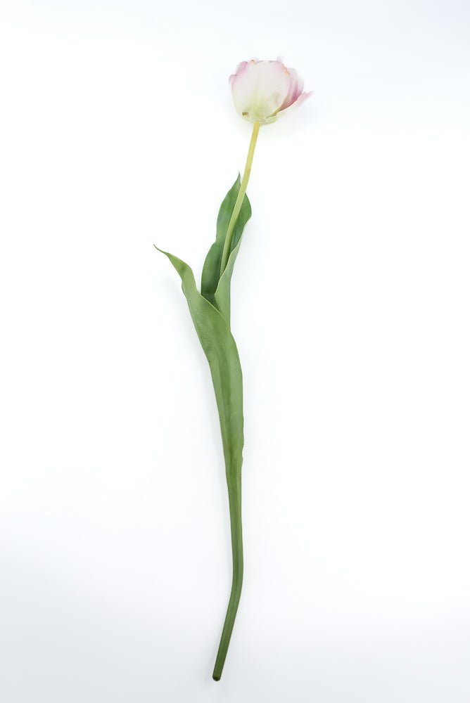 Artificial, real touch, tulip stem - Greenery MarketArtificial Flowers6477-P