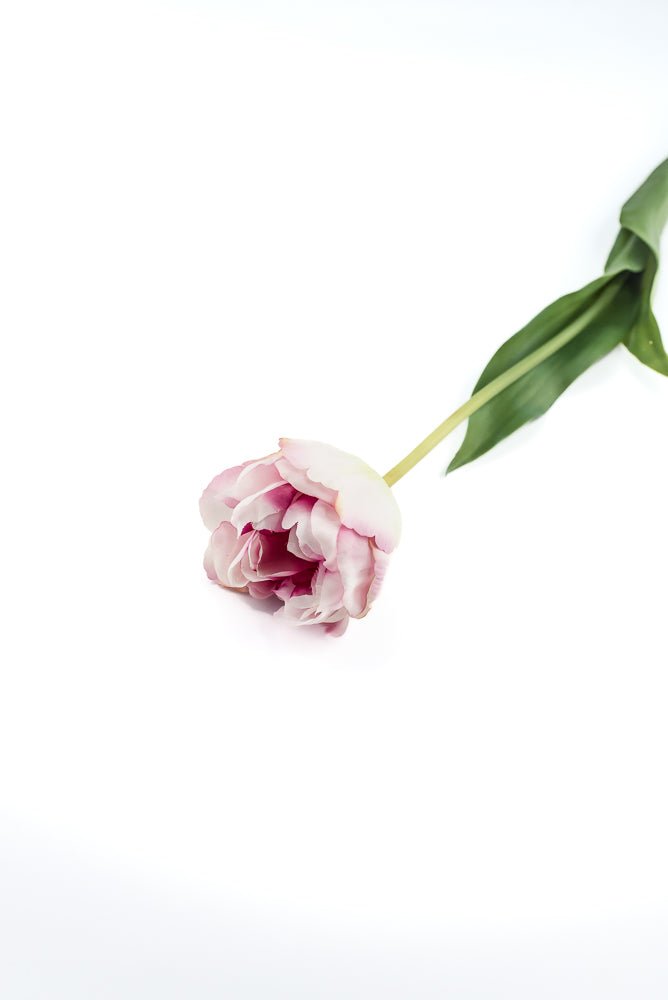 Artificial, real touch, tulip stem - Greenery MarketArtificial Flowers6477-P