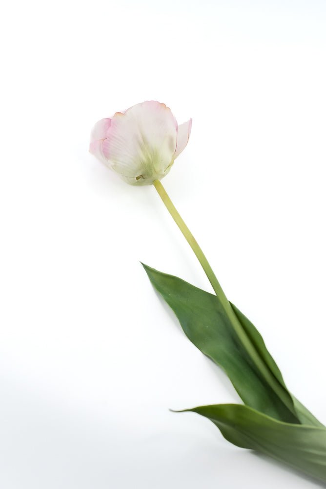 Artificial, real touch, tulip stem - Greenery MarketArtificial Flowers6477-P