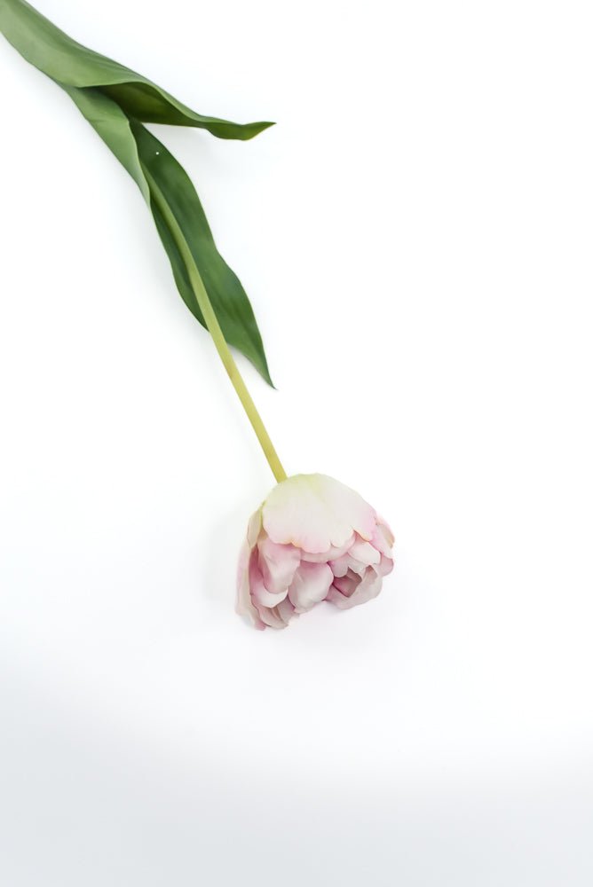 Artificial, real touch, tulip stem - Greenery MarketArtificial Flowers6477-P