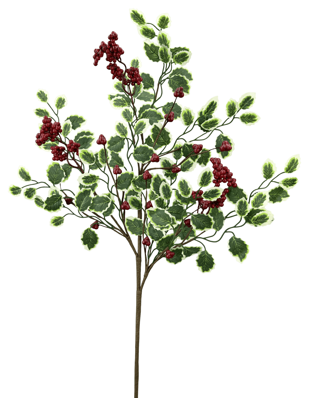 Artificial Red & Green Berry Variegated Leaves Spray - 28" - Greenery Market86816RDGN