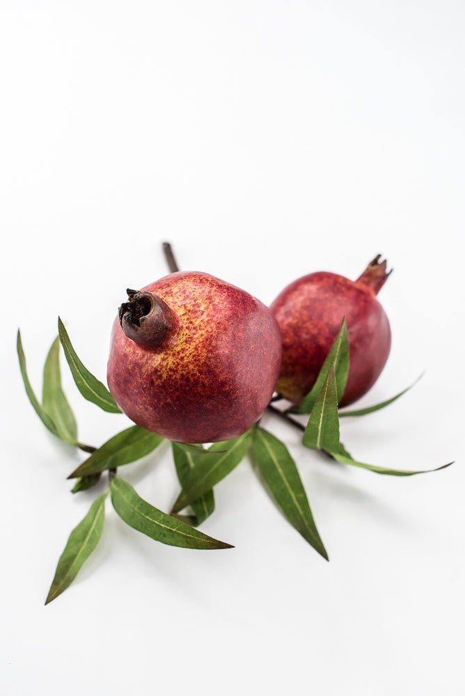 Artificial Red Pomegranate Pick - 10.5" - Greenery MarketF547-R