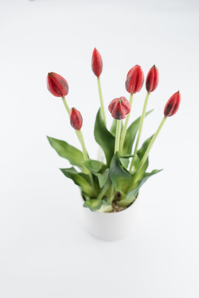 Artificial, Red, tulips in a container - Greenery Market6544-R