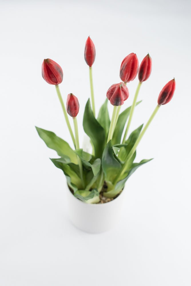 Artificial, Red, tulips in a container - Greenery Market6544-R
