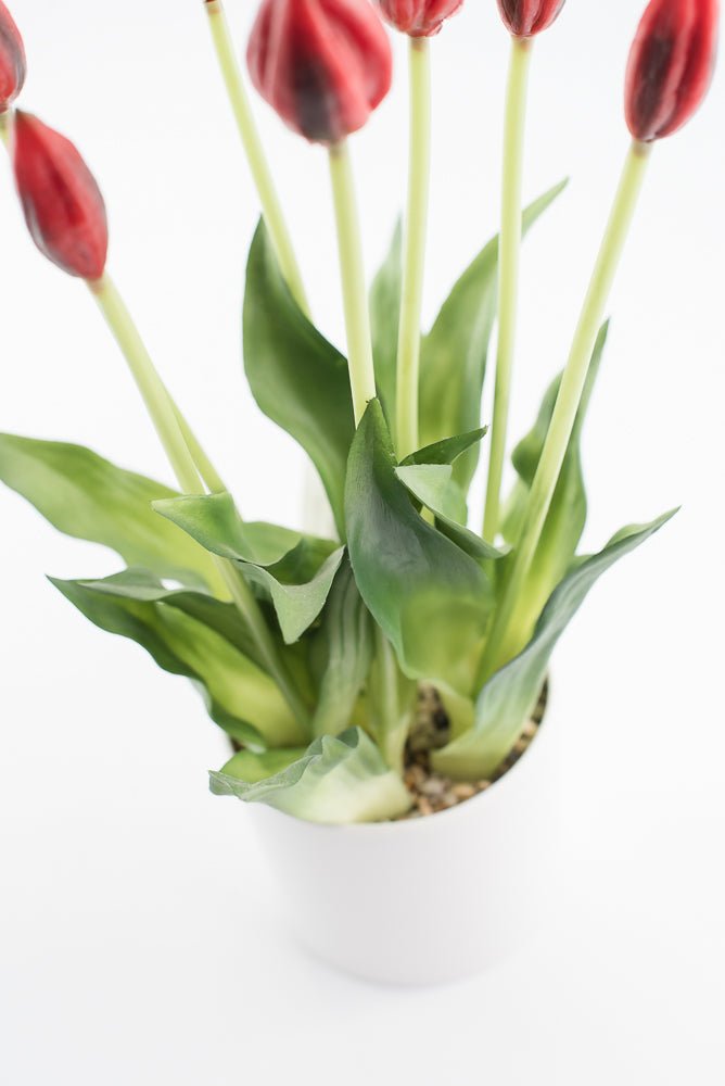 Artificial, Red, tulips in a container - Greenery Market6544-R