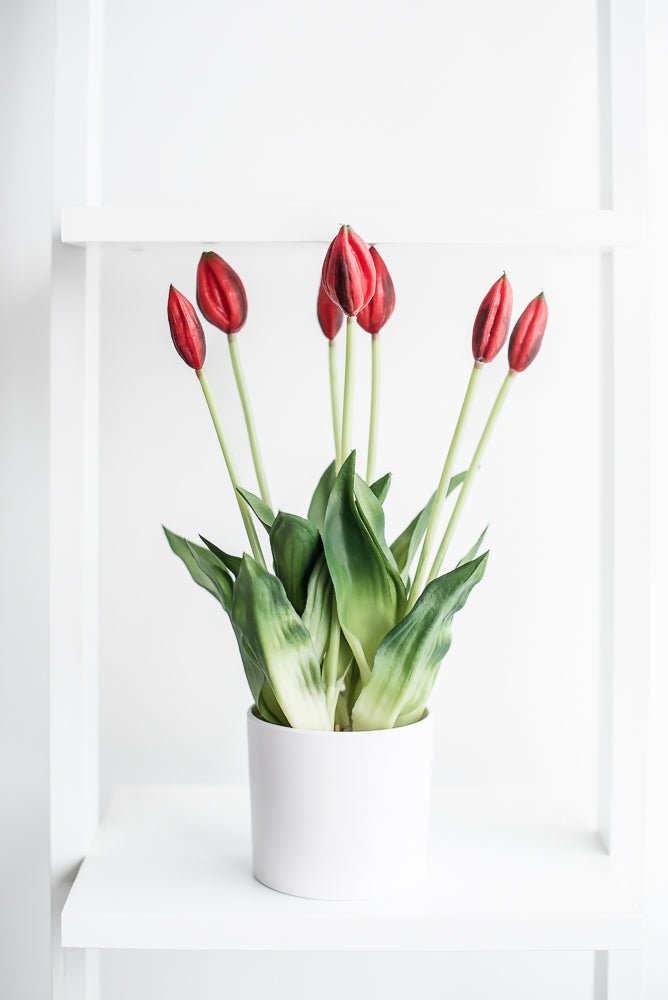 Artificial, Red, tulips in a container - Greenery Market6544-R