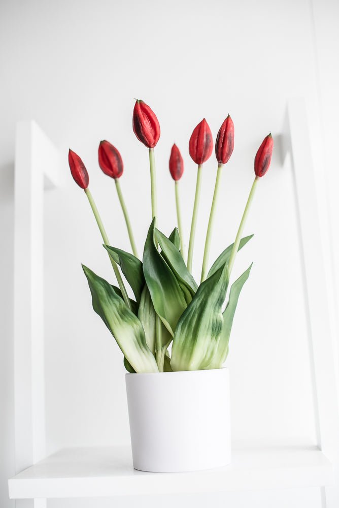 Artificial, Red, tulips in a container - Greenery Market6544-R