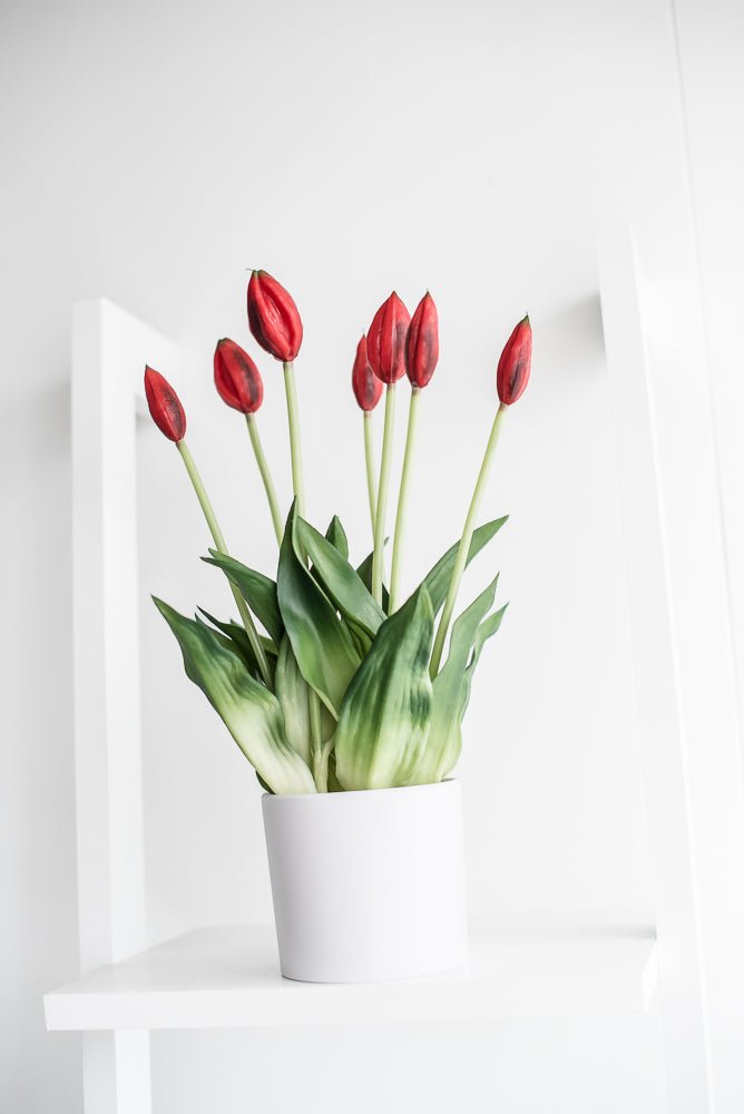 Artificial, Red, tulips in a container - Greenery Market6544-R