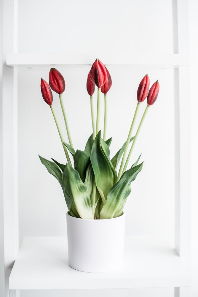 Artificial, Red, tulips in a container - Greenery Market6544-R