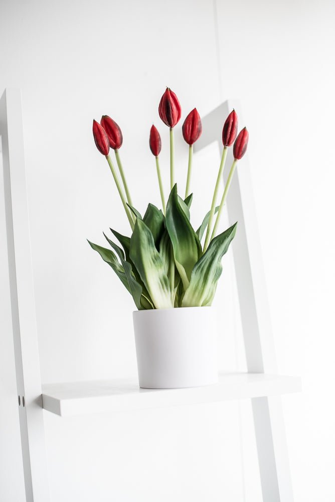 Artificial, Red, tulips in a container - Greenery Market6544-R
