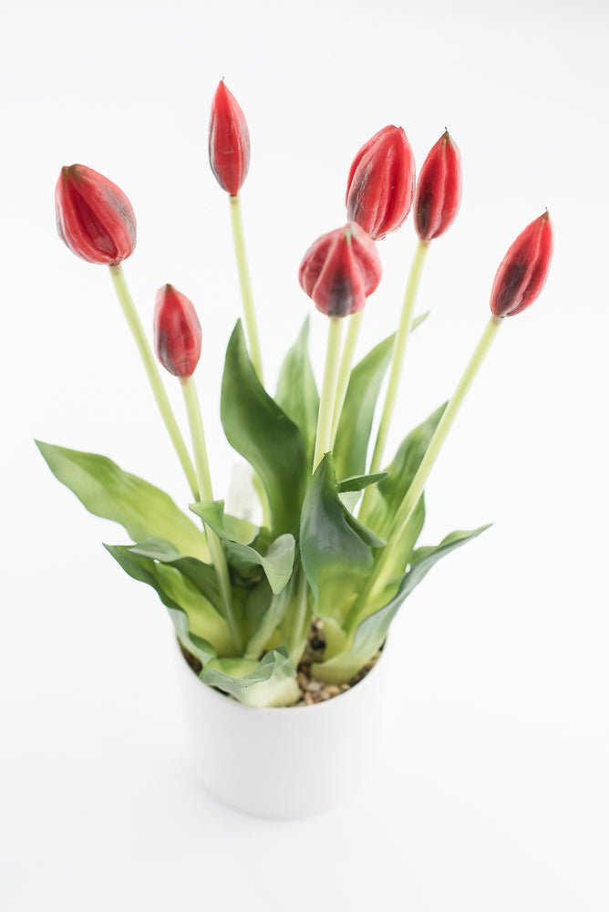 Artificial, Red, tulips in a container - Greenery Market6544-R
