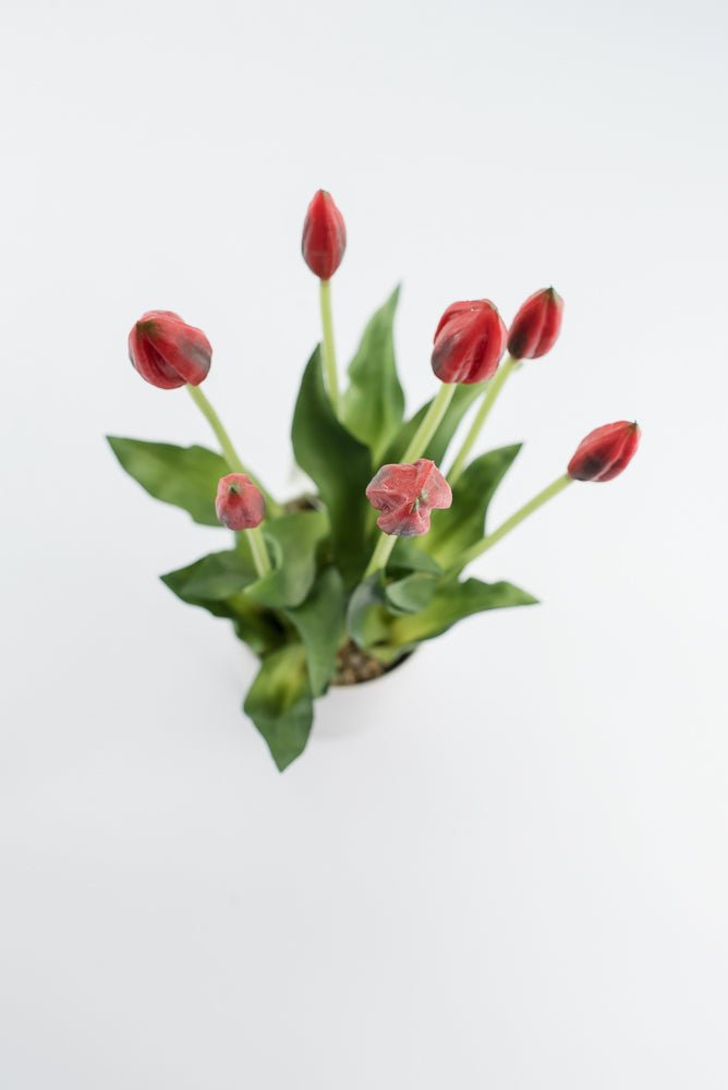 Artificial, Red, tulips in a container - Greenery Market6544-R