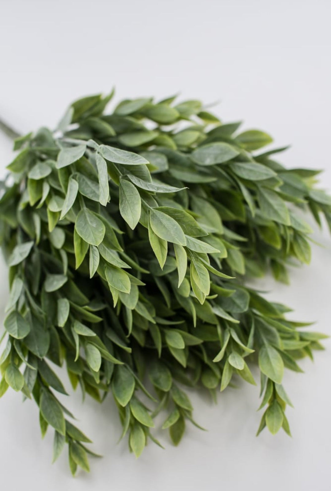 Artificial ruscus bush - Greenery Market25750