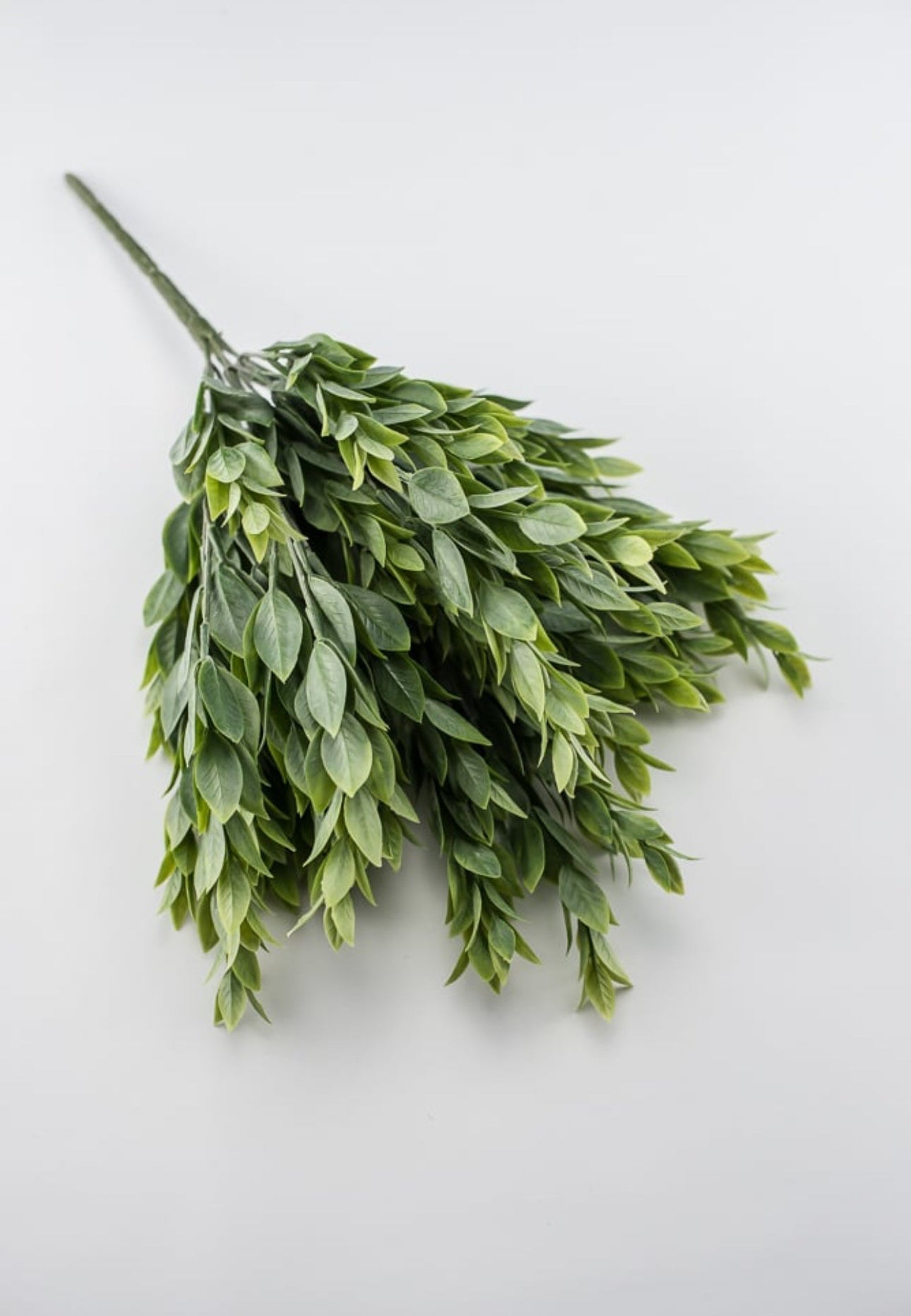 Everyday greenery – Greenery Market